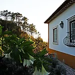 Lantställe Quinta Da Torre - Óbidos