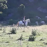 Quinta Da Torre - Lantställe