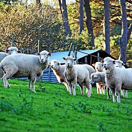 Quinta Da Torre - Séjour à la campagne *