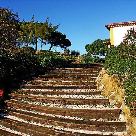 Quinta Da Torre - Séjour à la campagne Óbidos