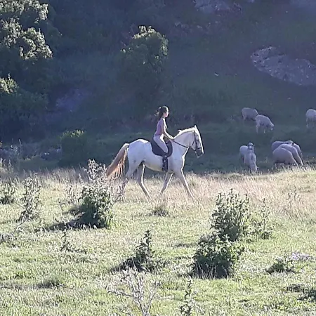 Quinta Da Torre - Séjour à la campagne