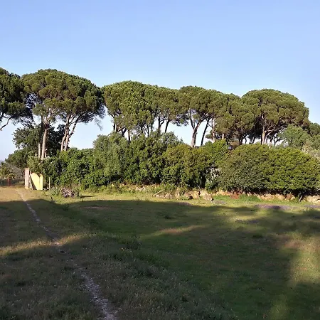Venkovský dům Quinta Da Torre - Óbidos
