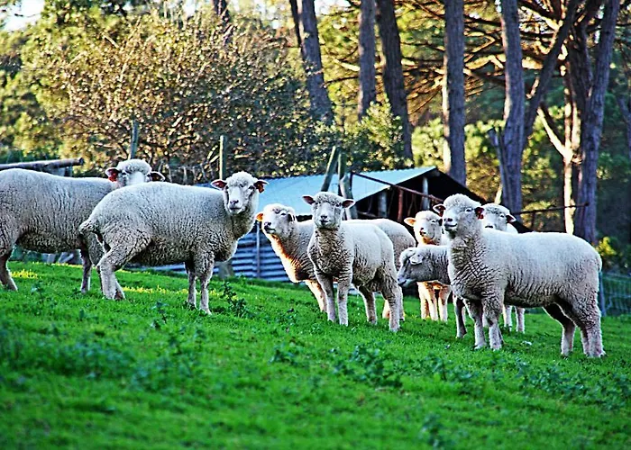 Quinta Da Torre - Летний дом *