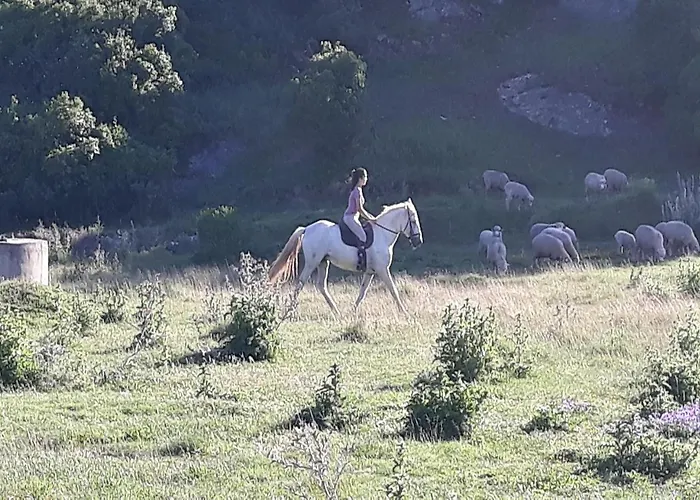 Quinta Da Torre - Летний дом