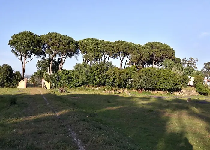 Летний дом Quinta Da Torre - Обидуш